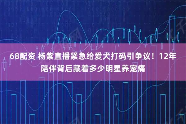 68配资 杨紫直播紧急给爱犬打码引争议！12年陪伴背后藏着多少明星养宠痛