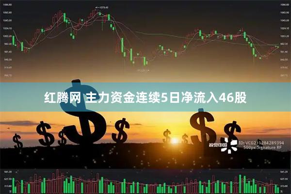 红腾网 主力资金连续5日净流入46股