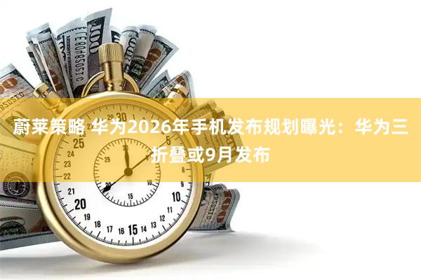 蔚莱策略 华为2026年手机发布规划曝光：华为三折叠或9月发布