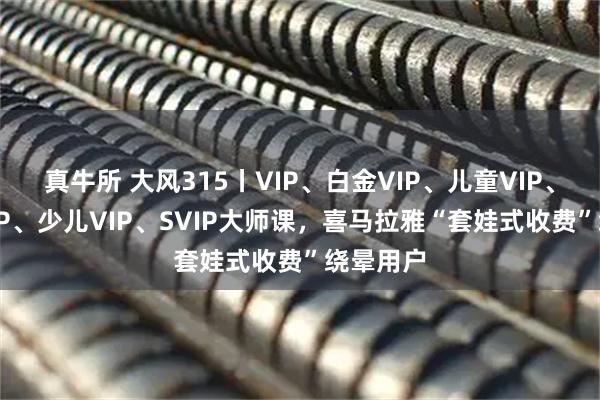 真牛所 大风315丨VIP、白金VIP、儿童VIP、儿童SVIP、少儿VIP、SVIP大师课，喜马拉雅“套娃式收费”绕晕用户