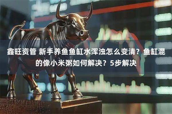 鑫旺资管 新手养鱼鱼缸水浑浊怎么变清？鱼缸混的像小米粥如何解决？5步解决