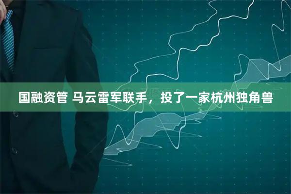 国融资管 马云雷军联手，投了一家杭州独角兽